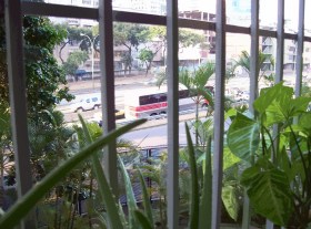 Fannydades_marzo2014