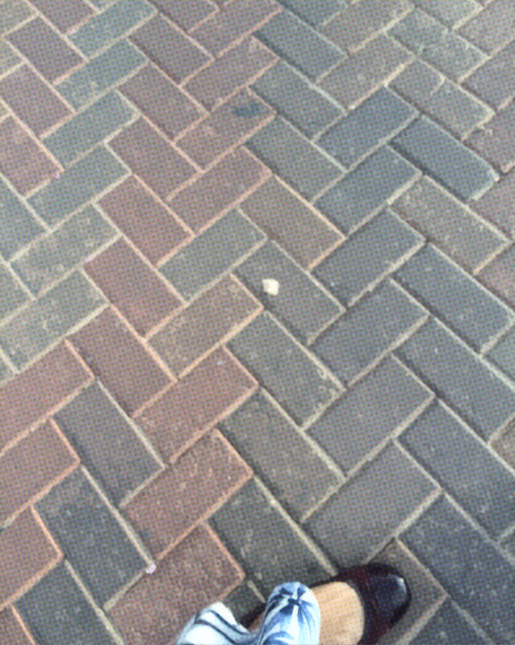 Diario del tiempo que pasa. A otra cosa,&nbsp;mariposa