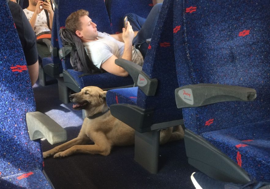 Como cuando no entiendes ni&nbsp;papa