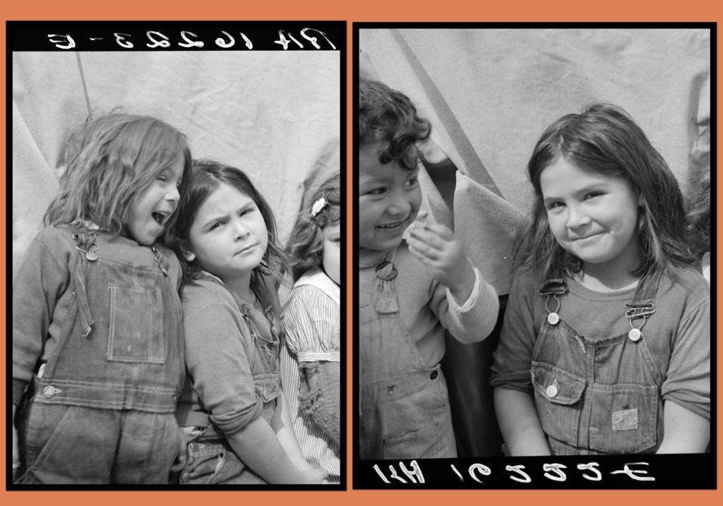 Las Fotos de Brígida